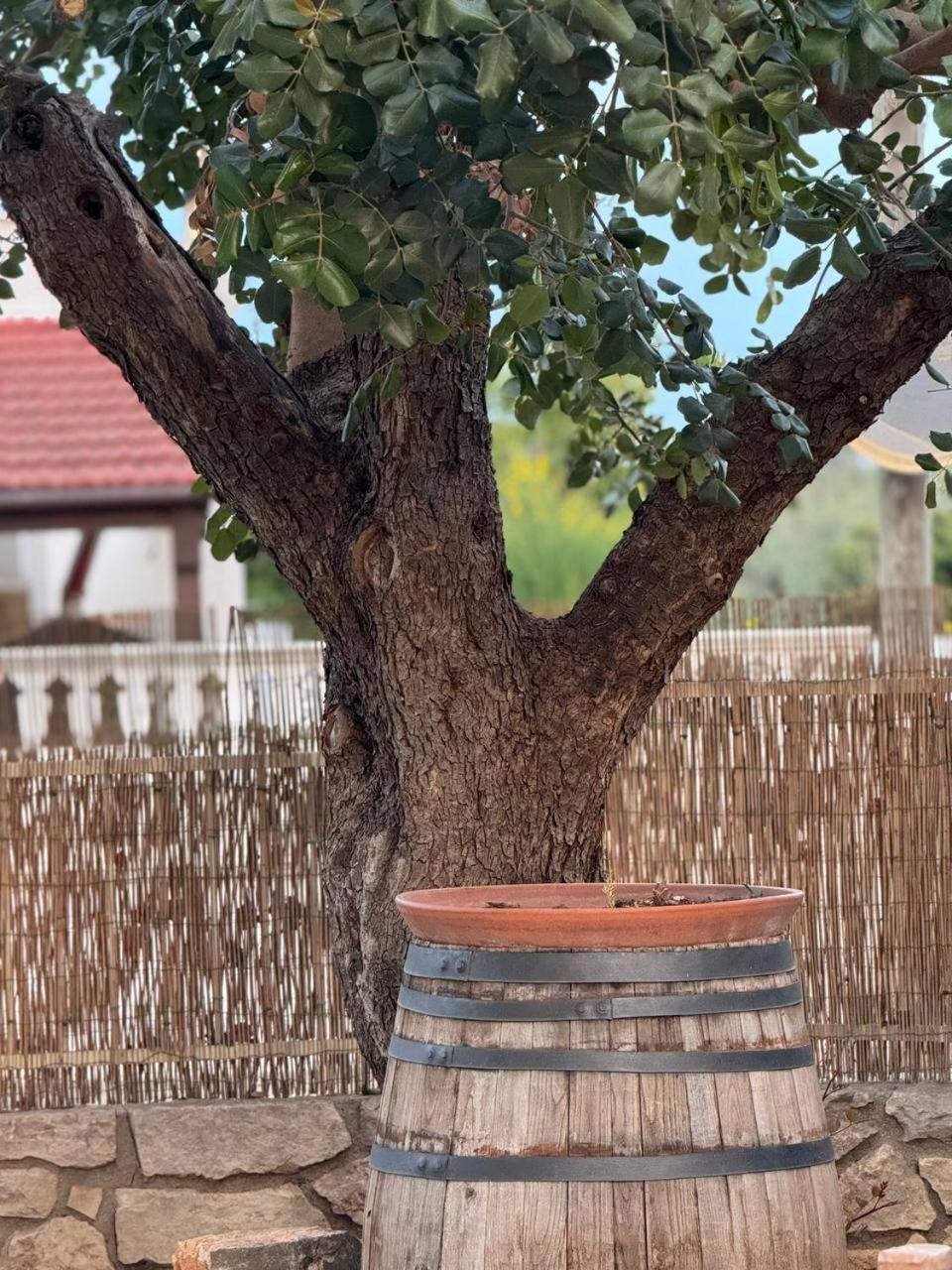 Ulivi Di Minerva - Boutique Holiday Home - Ostuni - Fasano - Cisternino Montalbano  Kültér fotó